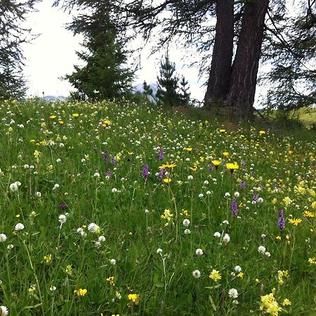 Ciasa Wallis Badia (South Tyrol) Exterior foto